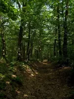 DSCN0177.webp
