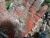 DSCN0178.webp