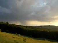 DSCN0184.webp