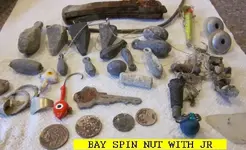 0506NUT.webp