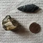 tooth and arrowhead 4-13.webp