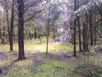 ForumRunner_20130506_232625.webp