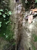 image-3448882855.webp