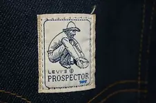 levi.webp