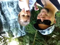 image-252494570.webp