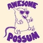A possum.jpg