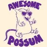 A possum.webp