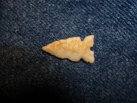 20110821_70 (800x600).webp 20110821_70 (800x600).webp
