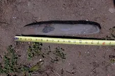 NH FINDS 05-05-2013 001.webp