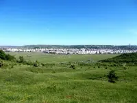 DSCN0139.webp