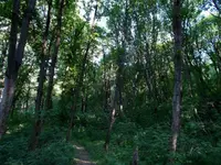 DSCN0154.webp