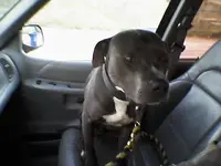 20130502_194936.webp