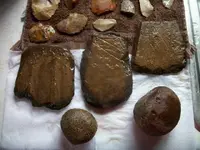Clarl Farm Artifacts (241).webp