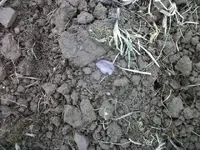 100_6752.webp