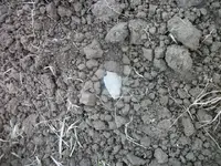 100_6753.webp