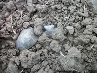 100_6754.webp