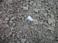 100_6758.webp
