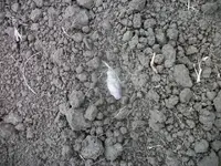 100_6759.webp