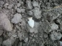 100_6604.webp