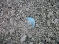 100_6608.webp