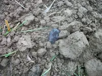 100_6611.webp