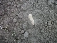 100_6613.webp