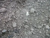 100_6614.webp