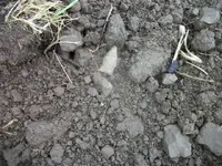 100_6615.webp