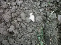 100_6616.webp