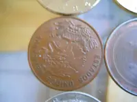 DSCN6298.webp