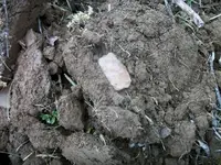 100_6585.webp