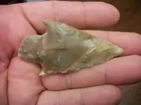 100_6591.webp
