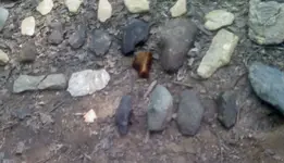 0528131716.webp