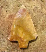 DSC01815.webp