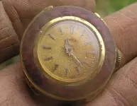 IMGP0012.webp