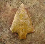 DSC01814.webp