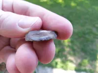 20130422_180157.webp