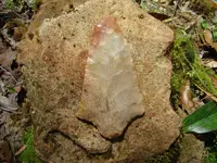 DSC01866.webp