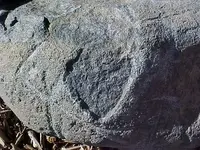 heartcarving1.webp