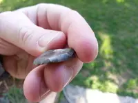 20130422_180200.webp