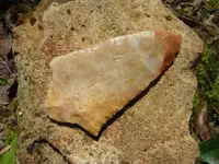 DSC01864.webp