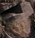 rock2.webp