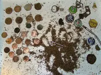 Ring hunt total.webp