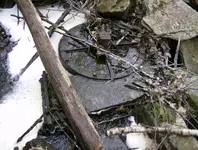mill site finds 003.webp