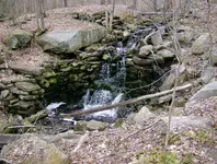 mill site finds 005.webp