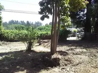 2013-05-22_13.15.24.webp