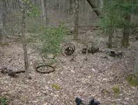 mill site finds 012.webp