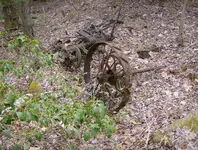 mill site finds 016.webp