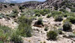 Trip050113 016.webp