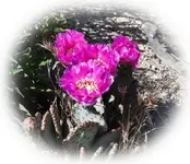 Trip050113 028.webp